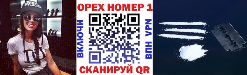 Cocaine FishScale  Купить закладки  Канаш 