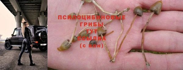 марки nbome Каменногорск