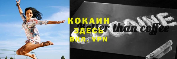 прущий лед Каменка