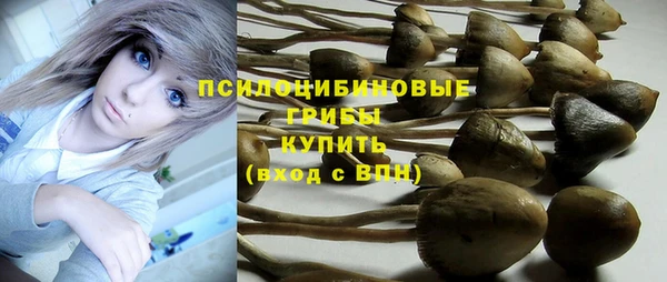 прущий лед Каменка