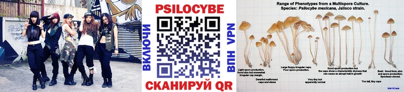 Купить  Канаш  Галлюциногенные грибы прущие грибы 